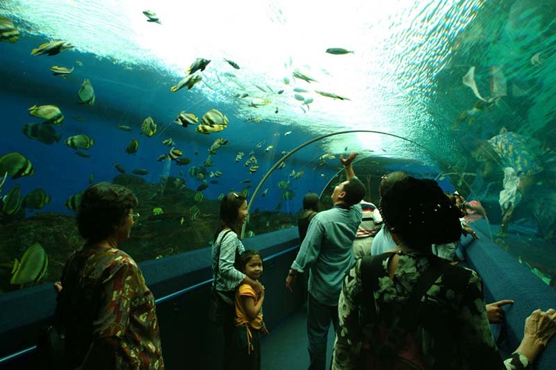 Океанариум (Underwater World)