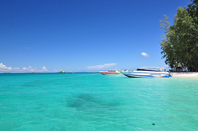 Caribo